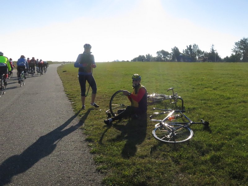 RTF Almabtrieb 080
